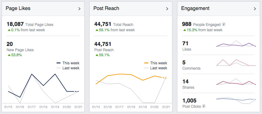 Facebook Insights analytics dashboard for a business page