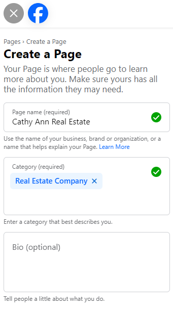 Facebook business page name and category fields